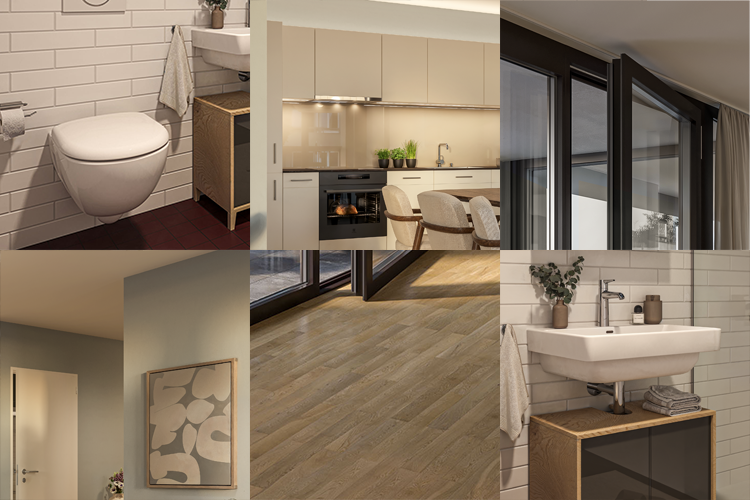 ausbau_classic.png ausbau_classic.png